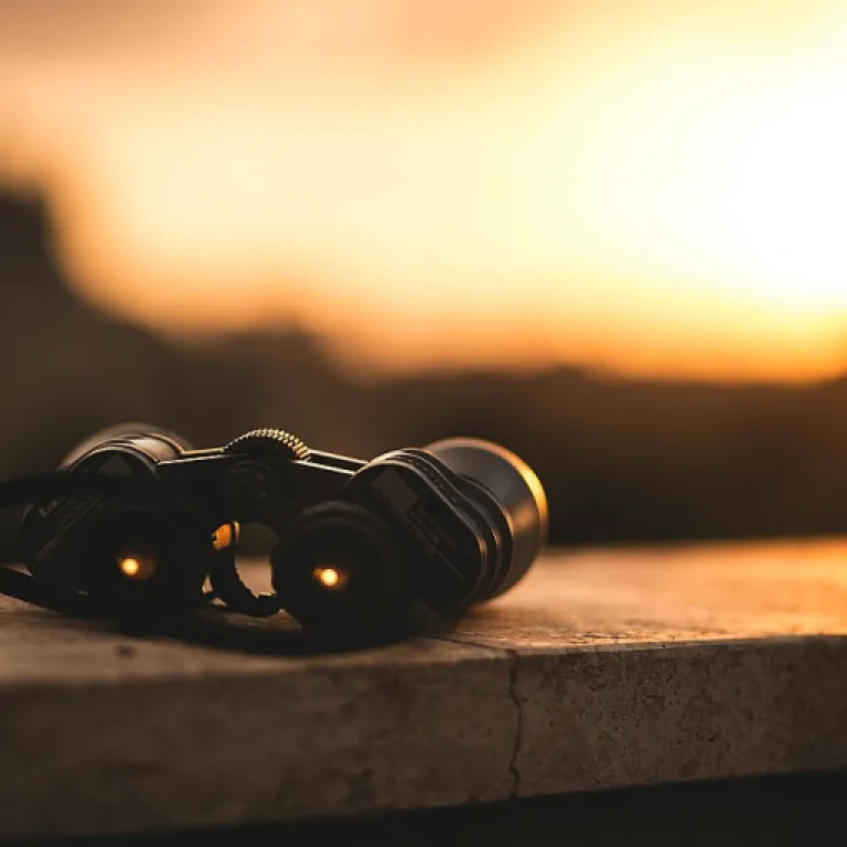 Wikio com digital et communiqués de presse : tirer parti du paysage numérique pour vos relations médias B2B